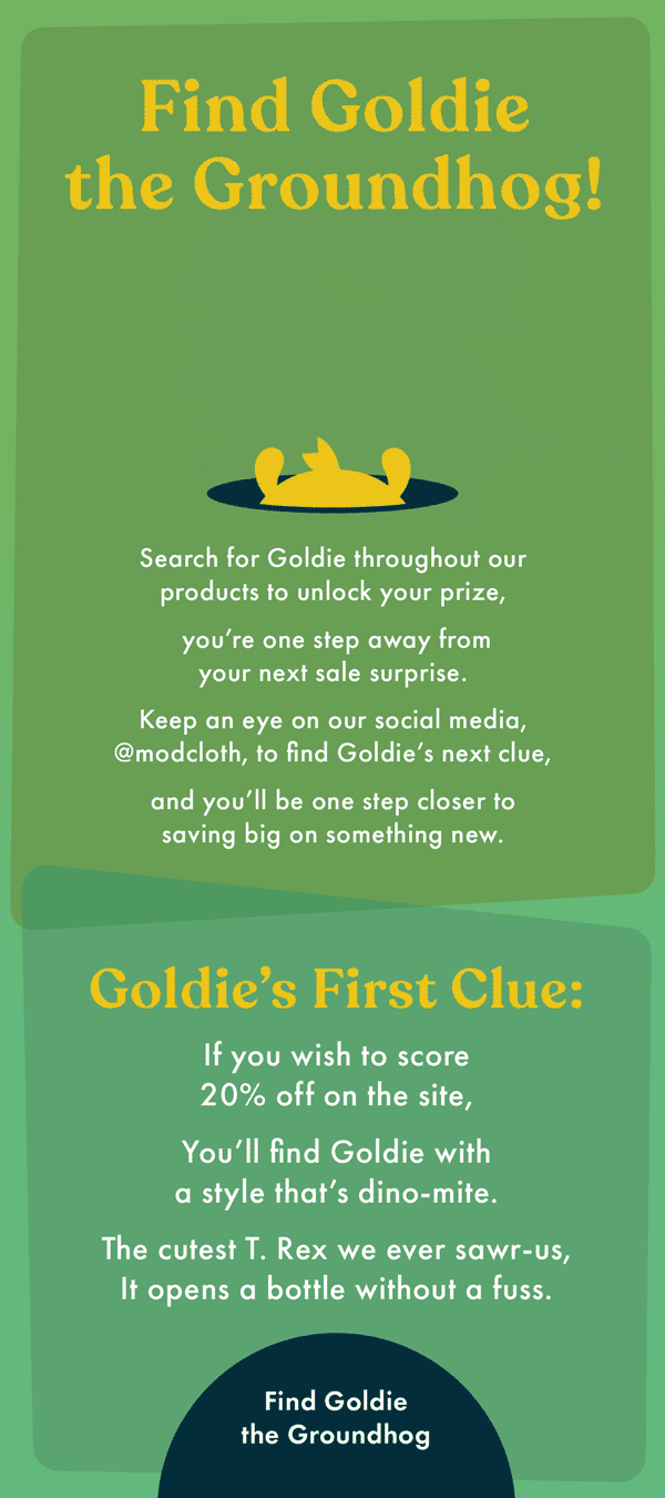 Email Newsletter
